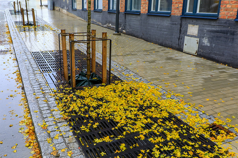 Energilösningar och aktivitet på torget